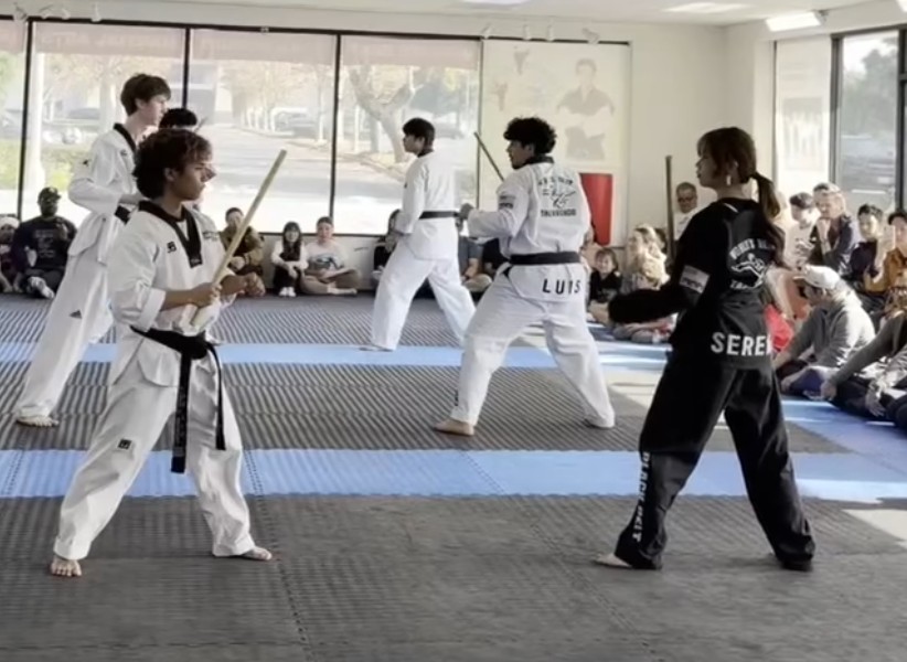 Sparring and Weapons Class